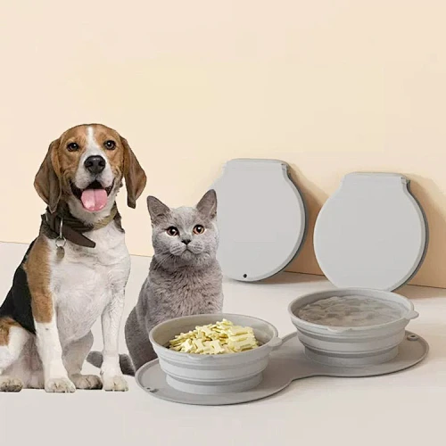 slow eating dog bowl